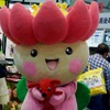 千葉市が推進する「花のあふれるまちづくり」のシンボルキャラクター「ちはなちゃん」