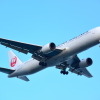 JAL（イメージ画像）