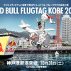 Red Bull Flugtag KOBE 2015.