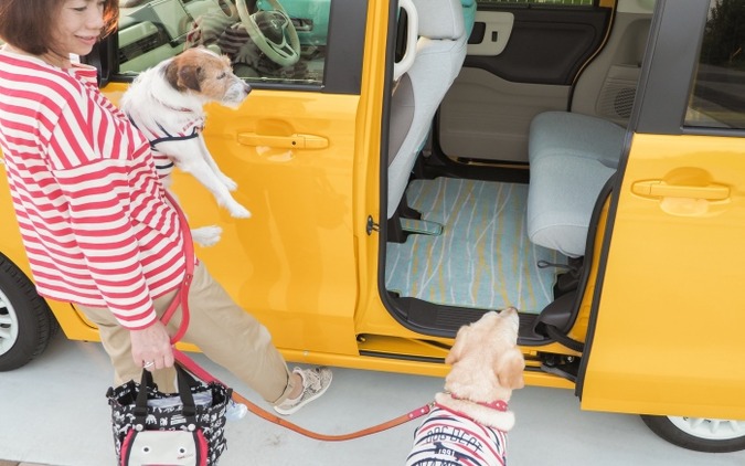 青山尚暉のわんダフルカーライフ 大型犬や多頭を余裕で乗せられる軽自動車は レスポンス Response Jp 青山尚暉のわんダフルカーライフ 大型犬や多頭を余裕で乗せられる軽自動車は レスポンス Response Jp