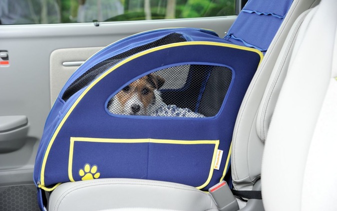 青山尚暉のわんダフルカーライフ 道路交通法違反にならないために 正しい愛犬の乗せ方 レスポンス Response Jp 青山尚暉のわんダフルカーライフ 道路交通法違反にならないために 正しい愛犬の乗せ方 レスポンス Response Jp