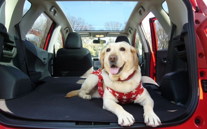 青山尚暉のわんダフルカーライフ 犬目線でチェック 愛犬に優しいクルマの機能 装備 15選 レスポンス Response Jp