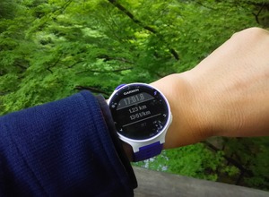 松尾芭蕉が日本三名湯とたたえた山中温泉で絶景の鶴仙渓をのんびりと散策した