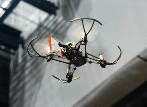 2010年9月のパロット（Parrot）ニュースまとめ | レスポンス（Response