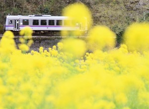存廃問題でJRと地域との協議が難航している芸備線。