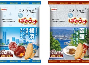 「ことりっぷばかうけ（ハンバーグステーキ）」（左）と「ことりっぷばかうけ（ビーフカレー）」（右）