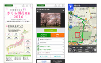 ナビタイム、さくら開花特集を公開…3月上旬よりナビアプリも連動 画像