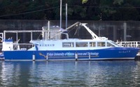 燃料電池船の実船試験を開始---安全ガイドライン策定へ、国土交通省 画像