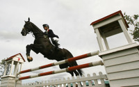 【オートモーティブワールド2017】スポーツカーの将来は乗馬にヒント、モータースポーツが五輪種目に!? 画像