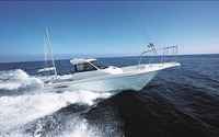 【ジャパンボートショー2017】ヤンマー、新型フィッシングクルーザーを初公開へ 画像