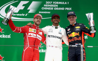 【F1 中国GP】ハミルトンが今季初勝利、波乱のレースを制する 画像