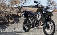 トライアンフ、上位モデル タイガー800XRT/XCA を限定導入 画像