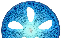 ミシュランのコンセプトタイヤ…3Dプリンターでトレッド面を補充 画像