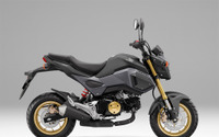 ホンダ グロム、カラーリング変更…新色マットグレーを追加 画像