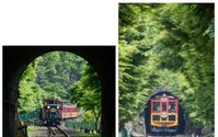 【夏休み】トロッコ列車にミストシャワー…嵯峨野観光鉄道が“涼