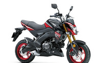 カワサキ Z125プロ、カラー&グラフィックを変更 画像