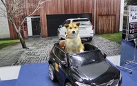 新車でも新車のにおいがしないボルボ、そのわけは…インターペット2018 画像