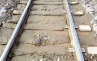 融雪期の気温上昇で函館本線の線路状態が悪化…45km/hの徐行区間を拡大 画像