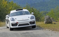 ポルシェ、ケイマンGT4 のラリーコンセプト発表…WRCにスポット参戦へ 画像