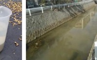 山陽新幹線トンネル補修現場から白く濁った水…魚が浮く現象を確認 画像