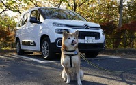 【柴犬ハルの気になるクルマ】シトロエン ベルランゴ…帯にするにも襷にするにも自由自在 画像