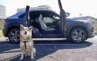 【柴犬ハルの気になるクルマ】マツダ MX-30 のフリースタイルドアと愛犬の相性 画像