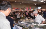 第49回静岡ホビーショー 5月13-16日 画像