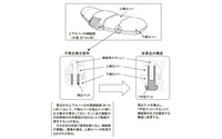 【自主改善】小糸製作所 汎用品警光灯のカバー脱落のおそれ 画像