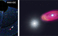 理化学研究所など、ISSに搭載した全天X線監視装置で新星爆発の瞬間に発生する「火の玉」を初観測 画像
