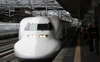 「こだま」G車の東京~新大阪ほぼ半額…50周年記念の割引サービス 画像