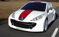 【ジュネーブモーターショー06】プジョー 207「Rカップ」の興奮 画像
