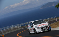 【全日本ラリー 第3戦】プジョー 208 GTi、初めてのコースで4位入賞 画像