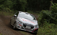 【全日本ラリー 第5戦】プジョー 208 GTi、荒れた路面に苦しみリタイア 画像