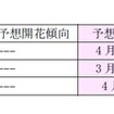 桜の開花予想、日本気象協会が発表