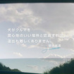 増田教授のコメント「犬がクルマを居心地のいい場所と認識すれば、遠出も難しくありません」