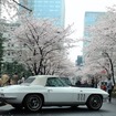 シボレー コルベットスティングレー