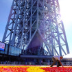 東京スカイツリータウン開業4周年記念「ブリュッセル・フラワーカーペットフェスティバル Supported by アサヒビール」（5月18～22日）
