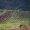 【JNCC 第6戦】日本離れしたロケーションで、小池田が連勝!!