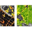 葉色マップ。近赤外域と赤色域の反射率を解析し、植物の活性を示した葉色マップを作成する。左は4月、右は7月。