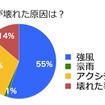 傘調査2016