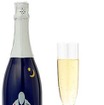 HIKOUKI CAVA 星空2014