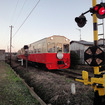 小湊鉄道線「里山トロッコ」（上総牛久駅）