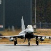 期間中は1日あたり2回のフライトを予定。天候や式典実施の関係で1回しか飛ばない日もあった。