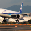 ANA（イメージ）