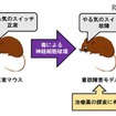 意欲障害のモデル動物を用いた治療薬の探索イメージ