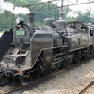 今回の『夜桜列車』は蒸気機関車がけん引するが、けん引機の形式は発表されていない。写真はC11形蒸気機関車。
