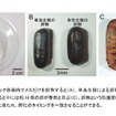 お互いが十分に接触できる小さめのプラスチック容器にゴキブリを入れて調査