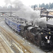 東武鉄道 SL大樹 祝賀運転（下今市駅、2017年8月10日）