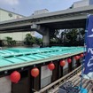 停泊中の屋形船で食べるワンコインランチはいかが？（京浜急行神奈川新町駅近くの定食たちばな）