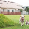 まずはエチケットとして300坪ものドッグランで犬たちを遊ばせ、犬の飛び出し防止に配慮された2重の自動ドアをくぐり、リゾート感満点のロビーフロアへ